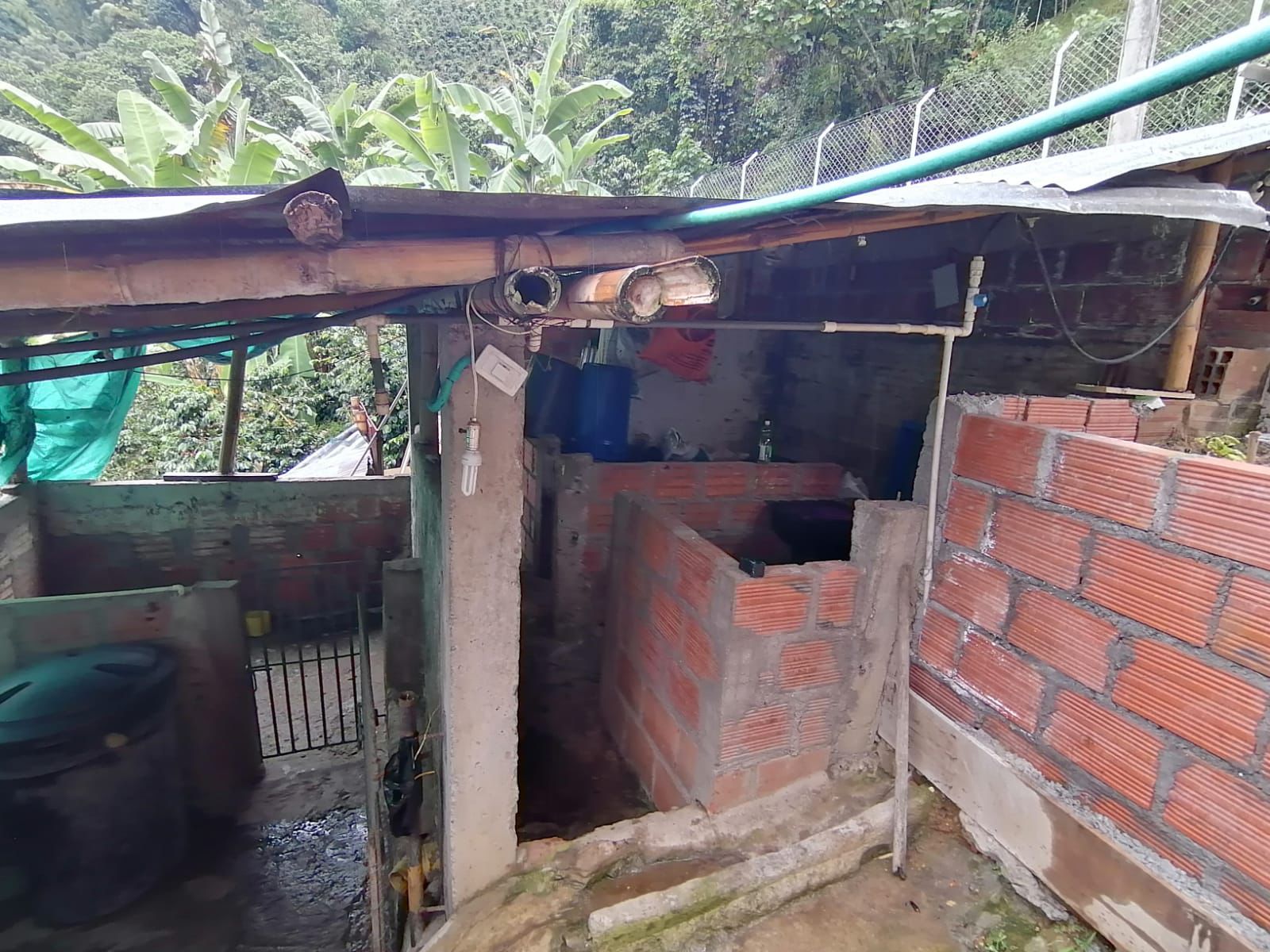 Foto de Finca en Venta en Maracas, Neira - 14 - 279063622