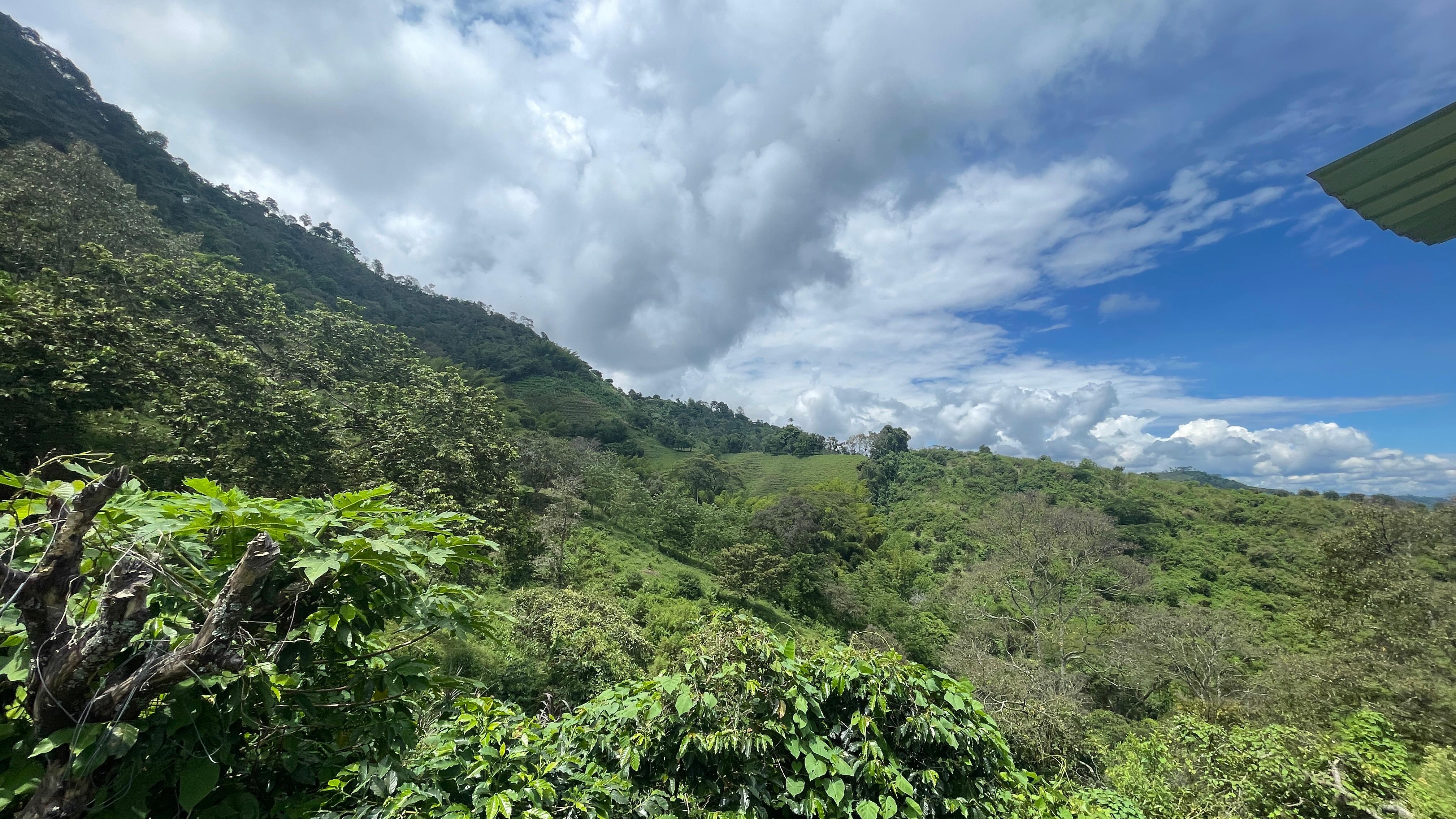 Foto de Finca en Venta en La cabaña, Manizales - 17 - 279062726