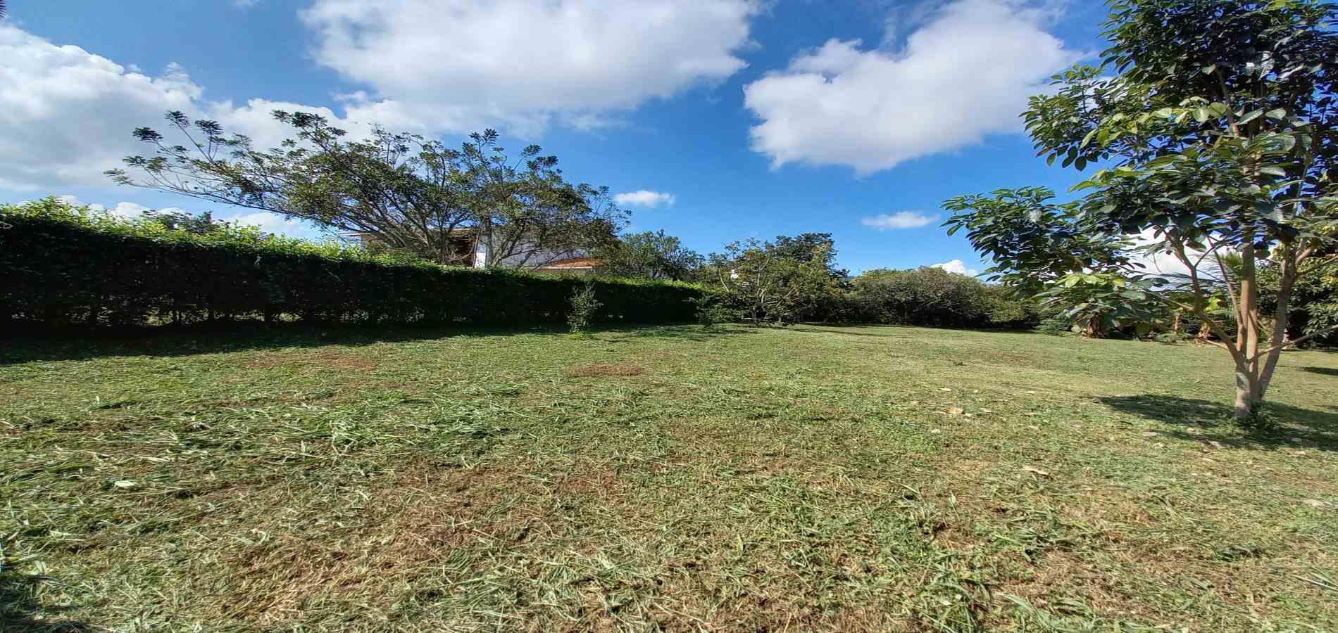 Foto de Lote / terreno en Venta en Vereda santagueda, Palestina - 25 - 279060420