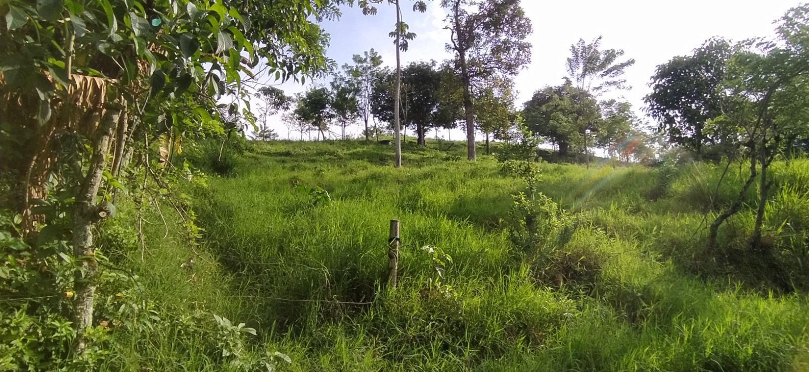 Foto de Lote / terreno en Venta en Altagracia, Pereira - 13 - 279057421