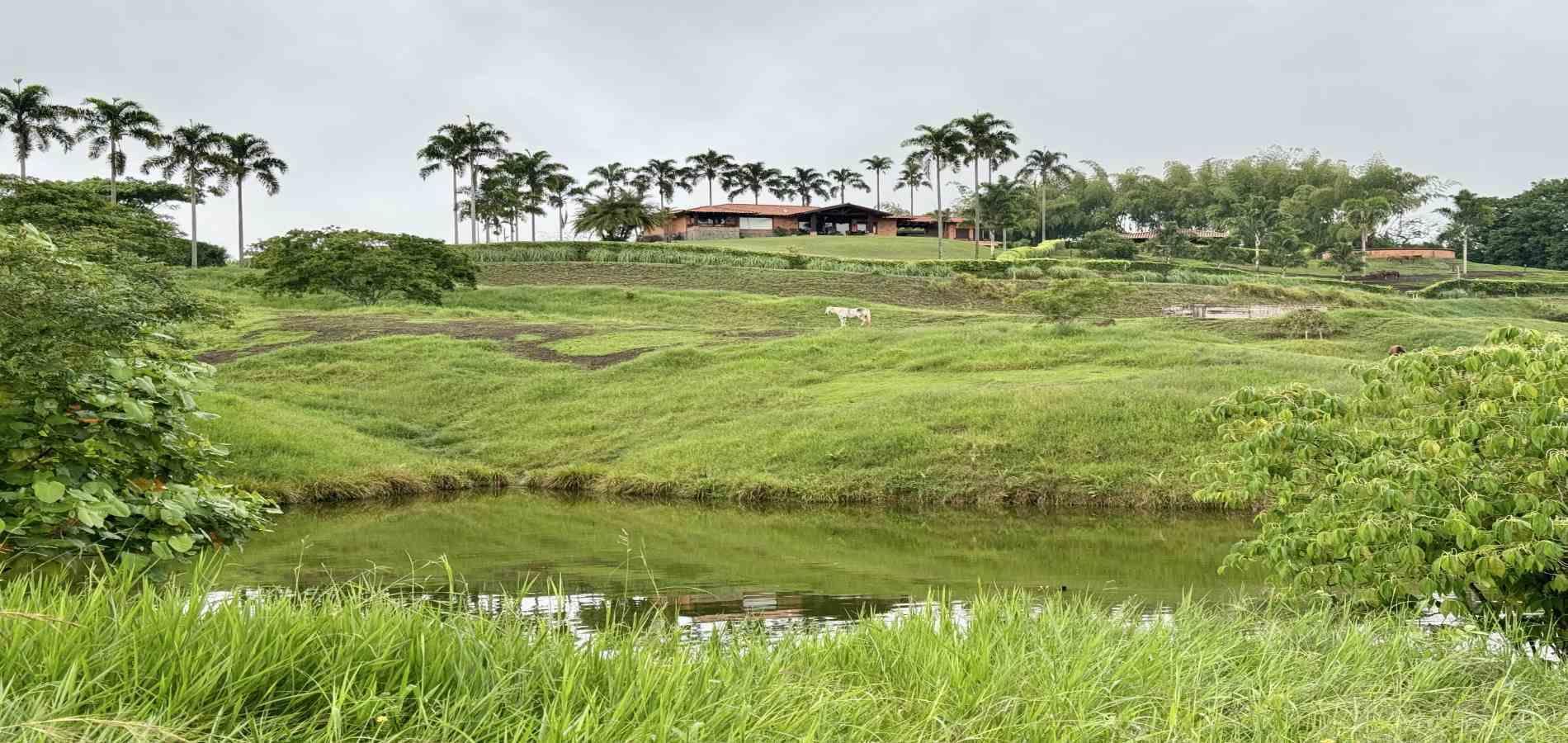 Foto de Lote / terreno en Venta en Cerritos, Pereira - 1 - 279059921