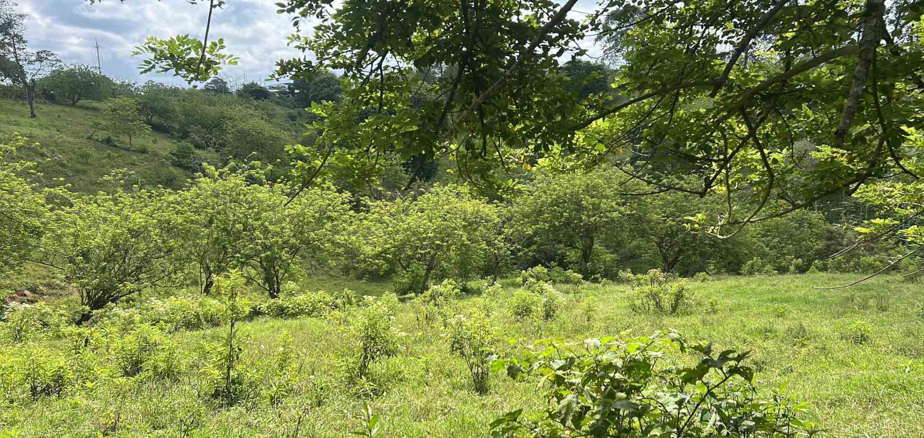 Foto de Lote / terreno en Venta en Via alcala, Pereira - 6 - 279066762