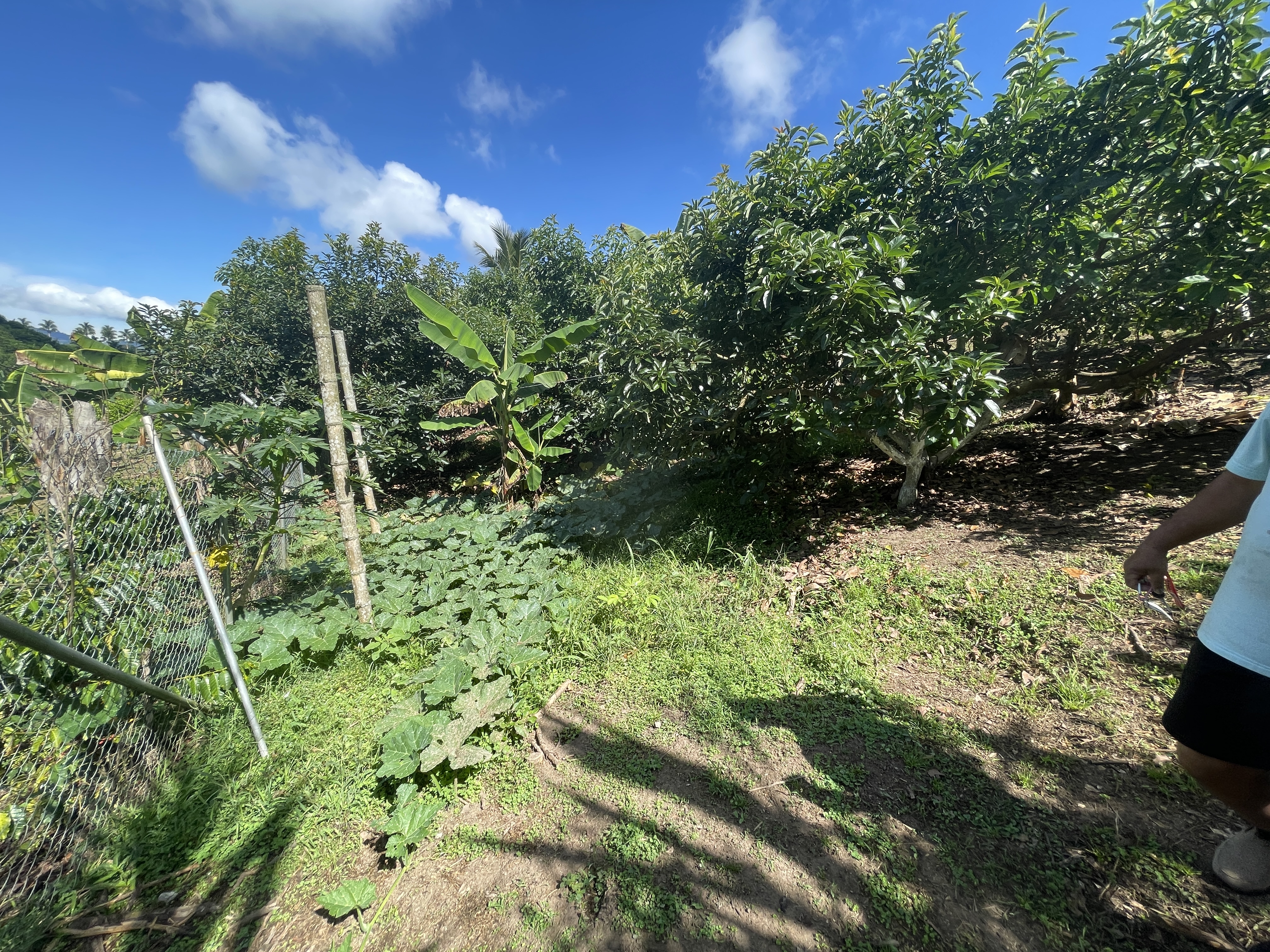 Foto de Casa campestre en Venta en Zona rural, Alcala - 13 - 279064533