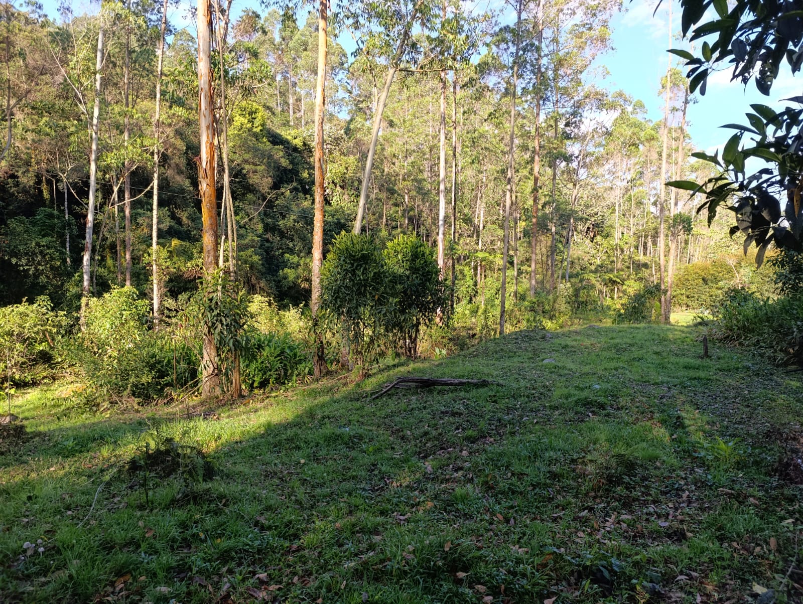 Foto de Lote / terreno en Venta en Santa rosa de cabal, Santa rosa de cabal - 2 - 279064480