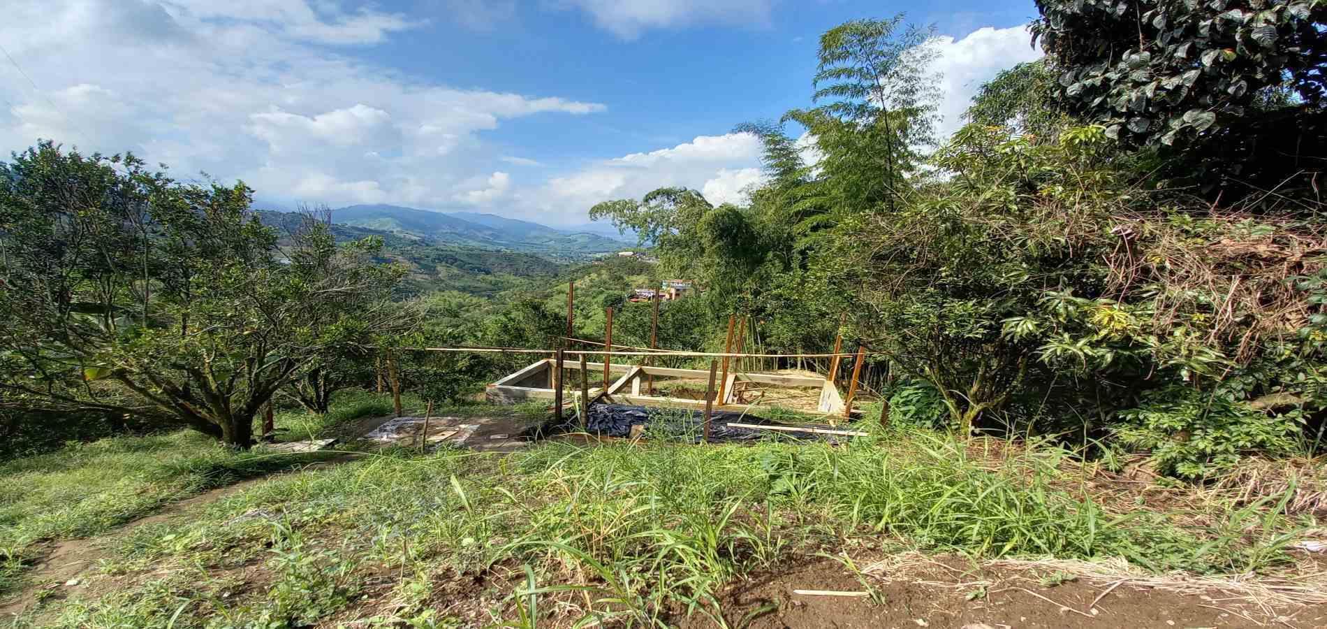 Foto de Finca en Venta en San peregrino, Manizales - 7 - 279061656