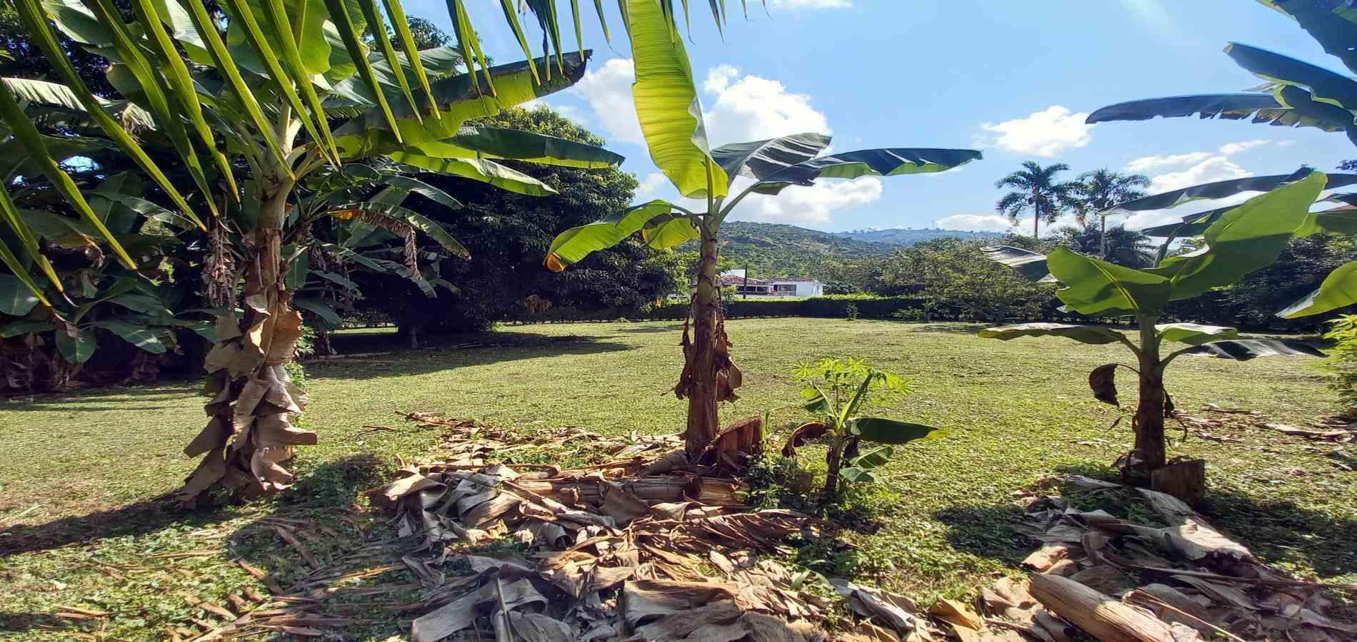 Foto de Lote / terreno en Venta en Vereda santagueda, Palestina - 6 - 279060420