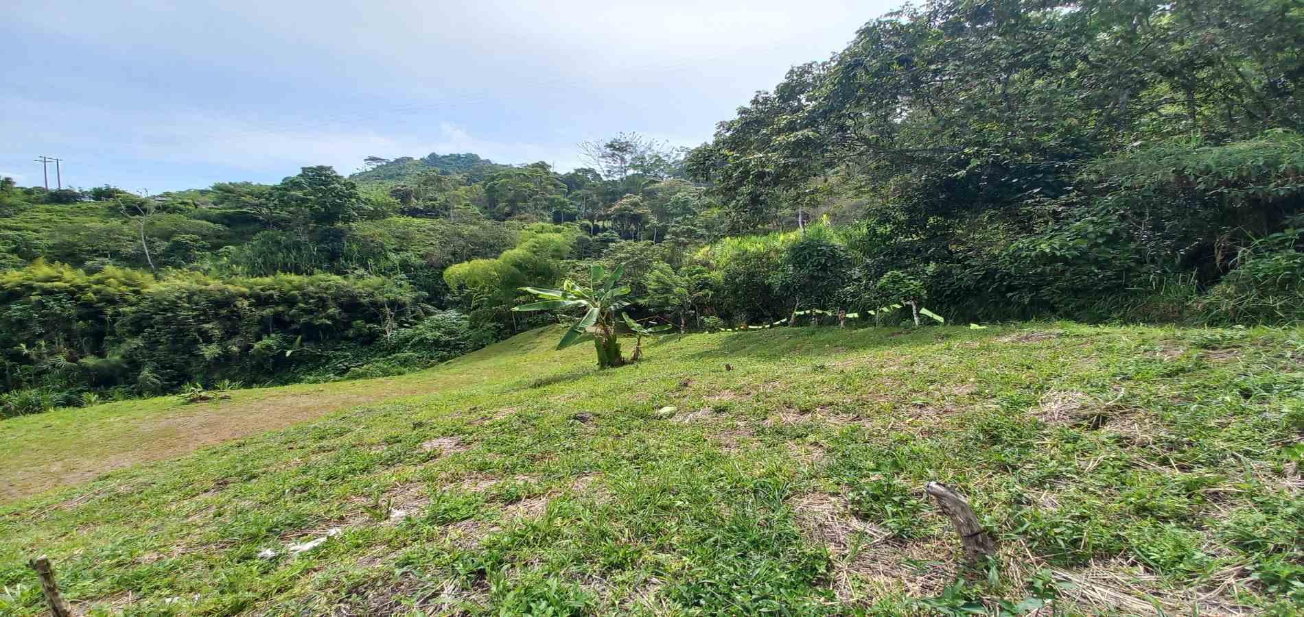 Foto de Lote / terreno en Venta en Combia, Pereira - 1 - 279069588