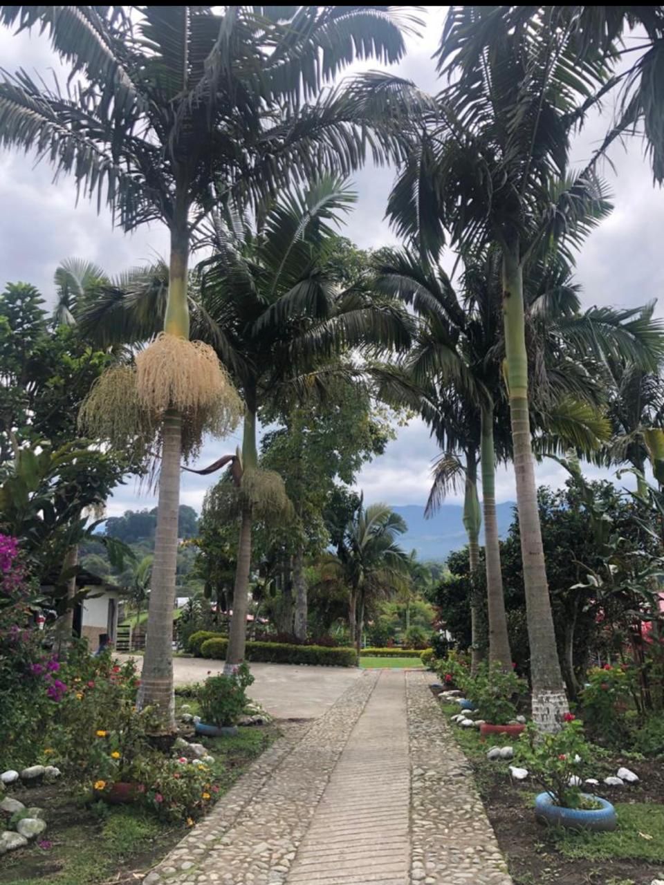 Foto de Lote / terreno para Venta en Vereda san antonio, Circasia - 279061850