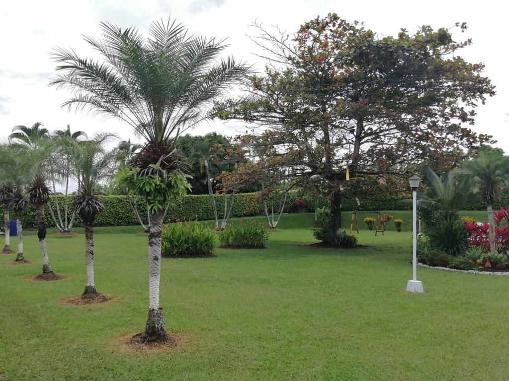 Foto de Finca en Venta en Vereda santagueda, Palestina - 7 - 279064579