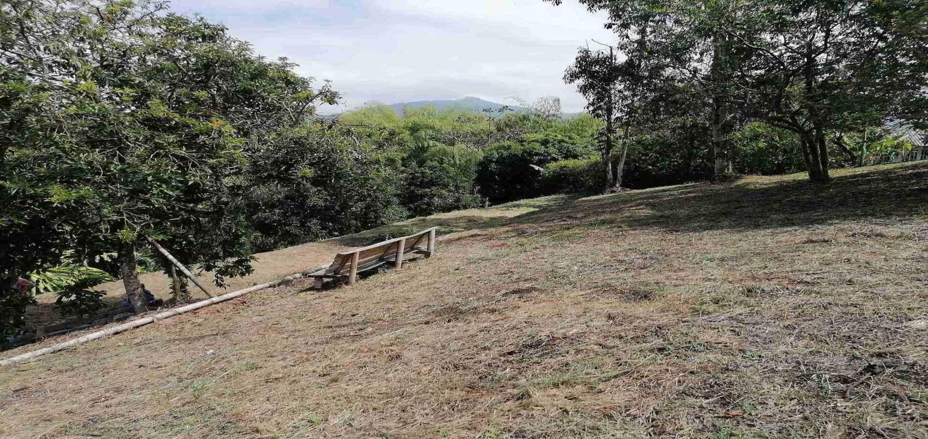Foto de Lote / terreno en Venta en Combia, Pereira - 6 - 279056754