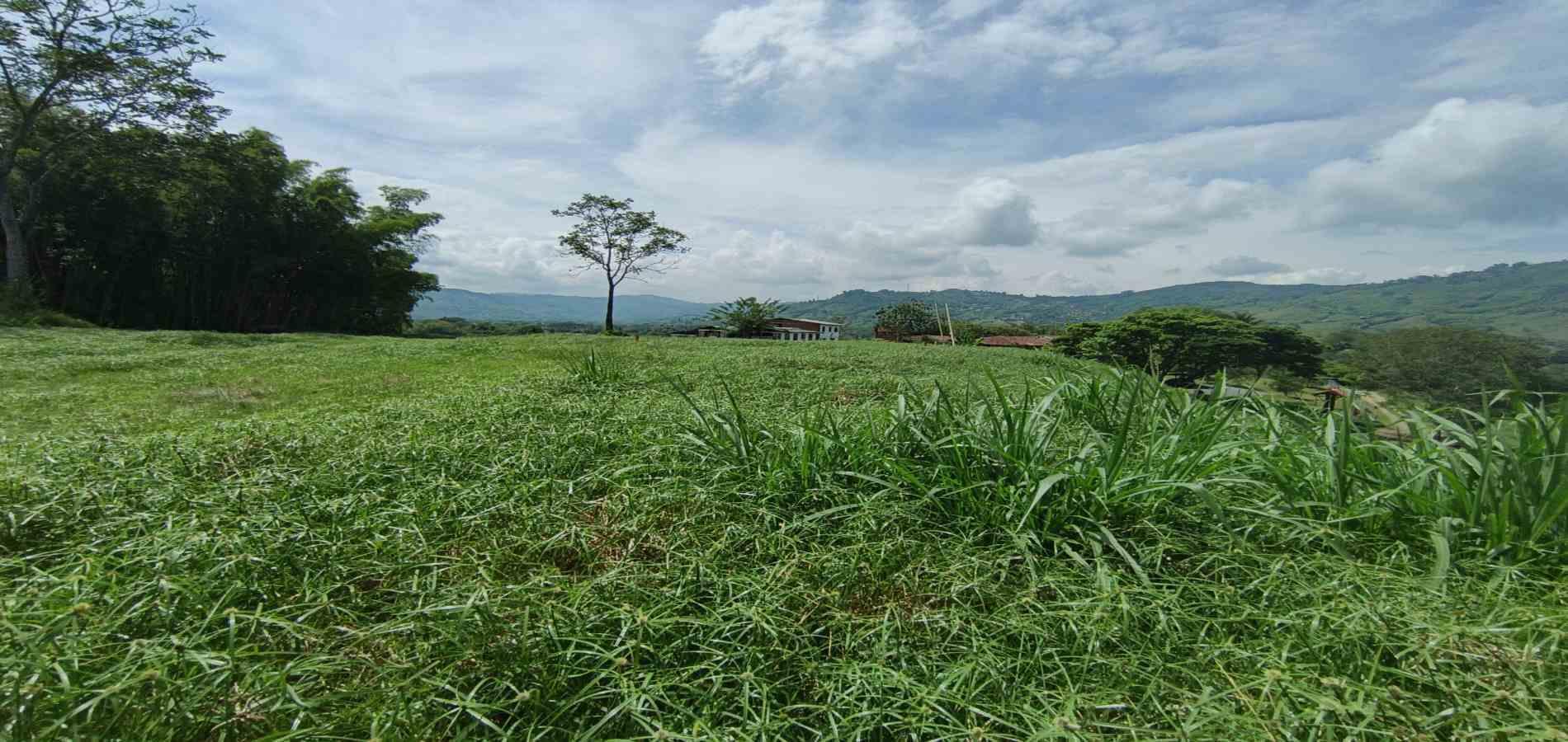 Foto de Lote / terreno en Venta en Vereda santagueda, Palestina - 6 - 279064609
