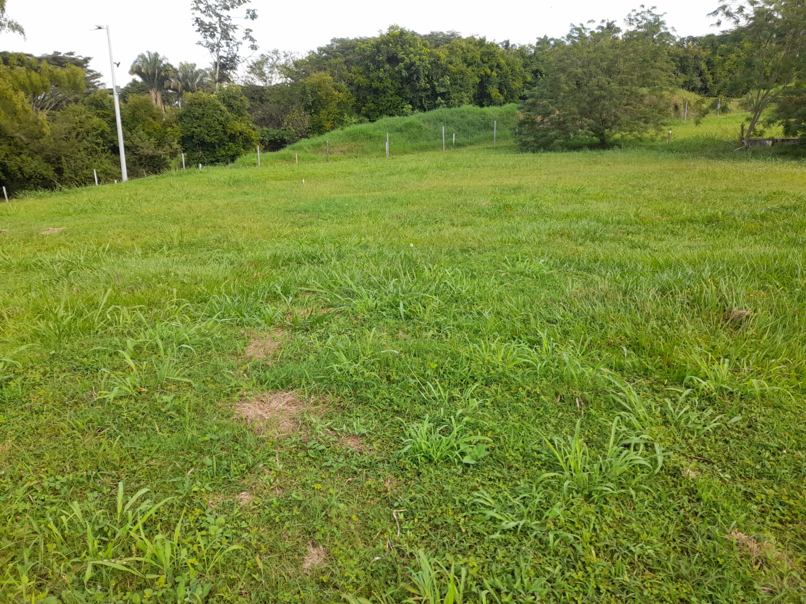 Foto de Lote / terreno en Venta en La floresta, Pereira - 7 - 279065198