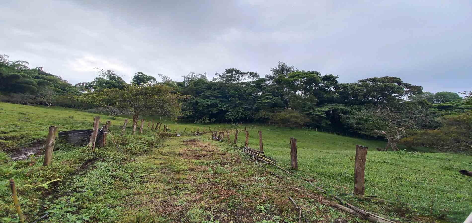 Foto de Lote / terreno en Venta en Veracruz, Santa rosa de cabal - 9 - 279066398