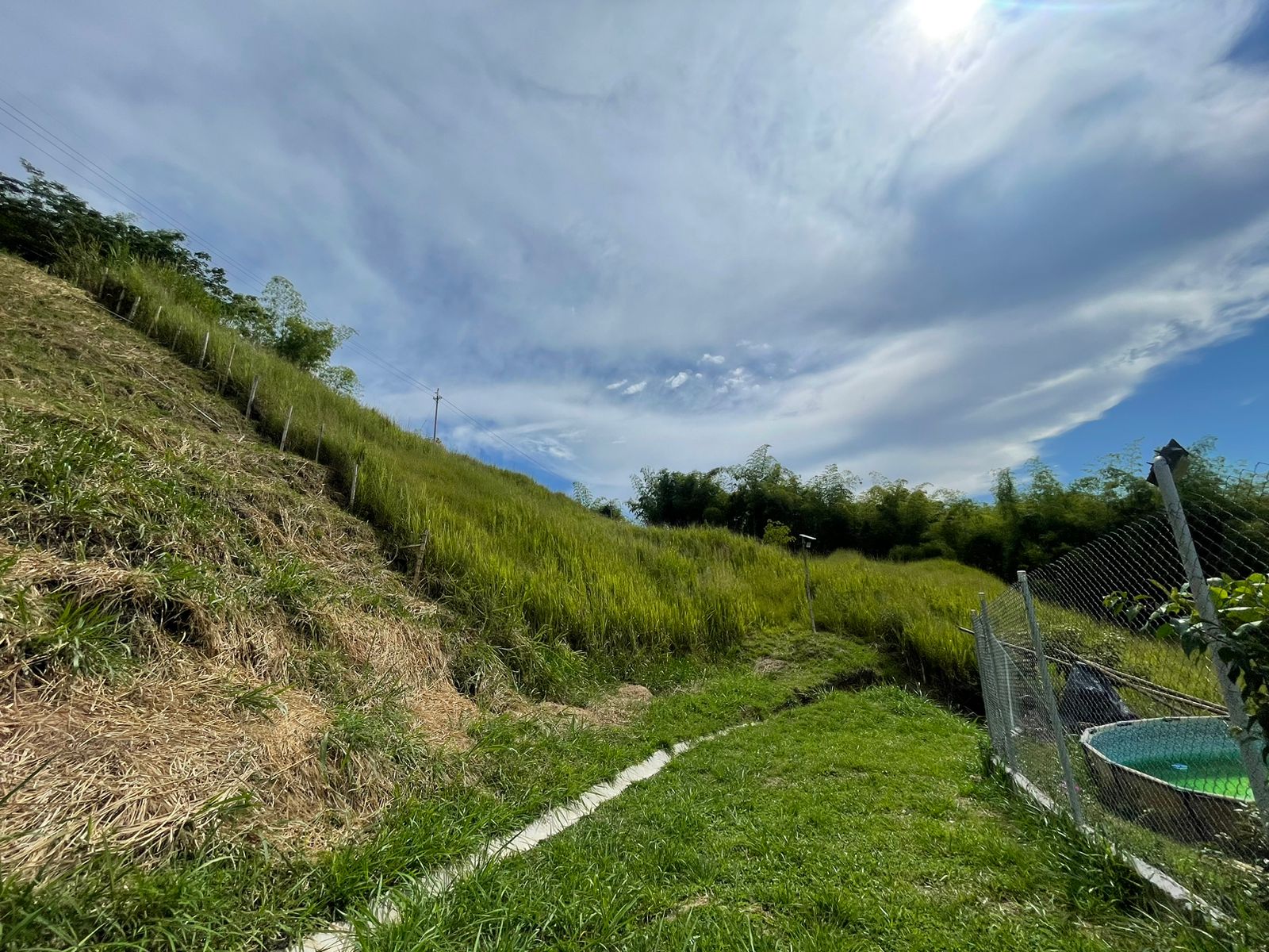 Foto de Lote / terreno en Venta en Cerritos, Pereira - 7 - 279058389