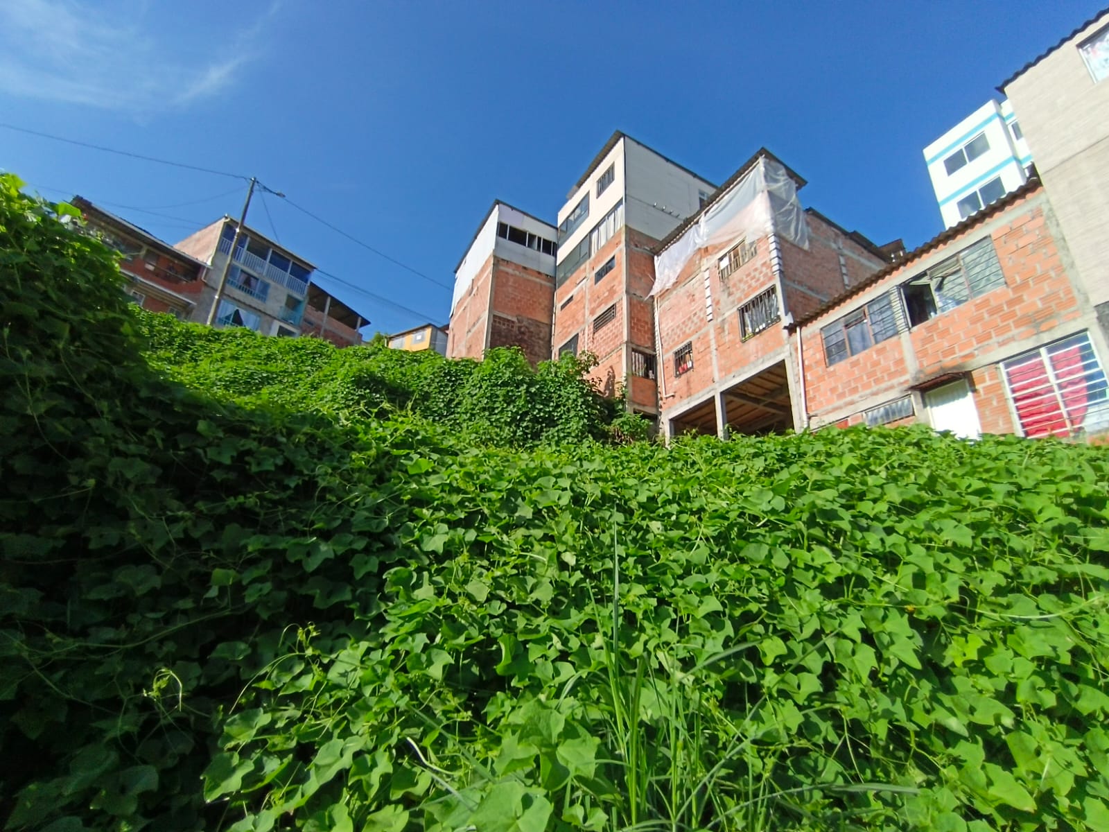 Foto de Lote / terreno en Venta en Bellavista, Villamaria - 10 - 279067096