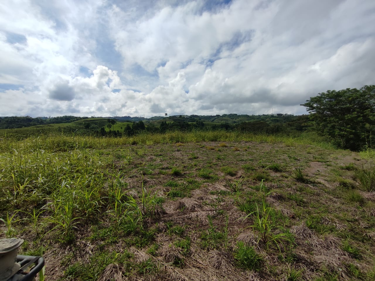 Foto de Lote / terreno en Venta en Centro, Pereira - 5 - 279063218