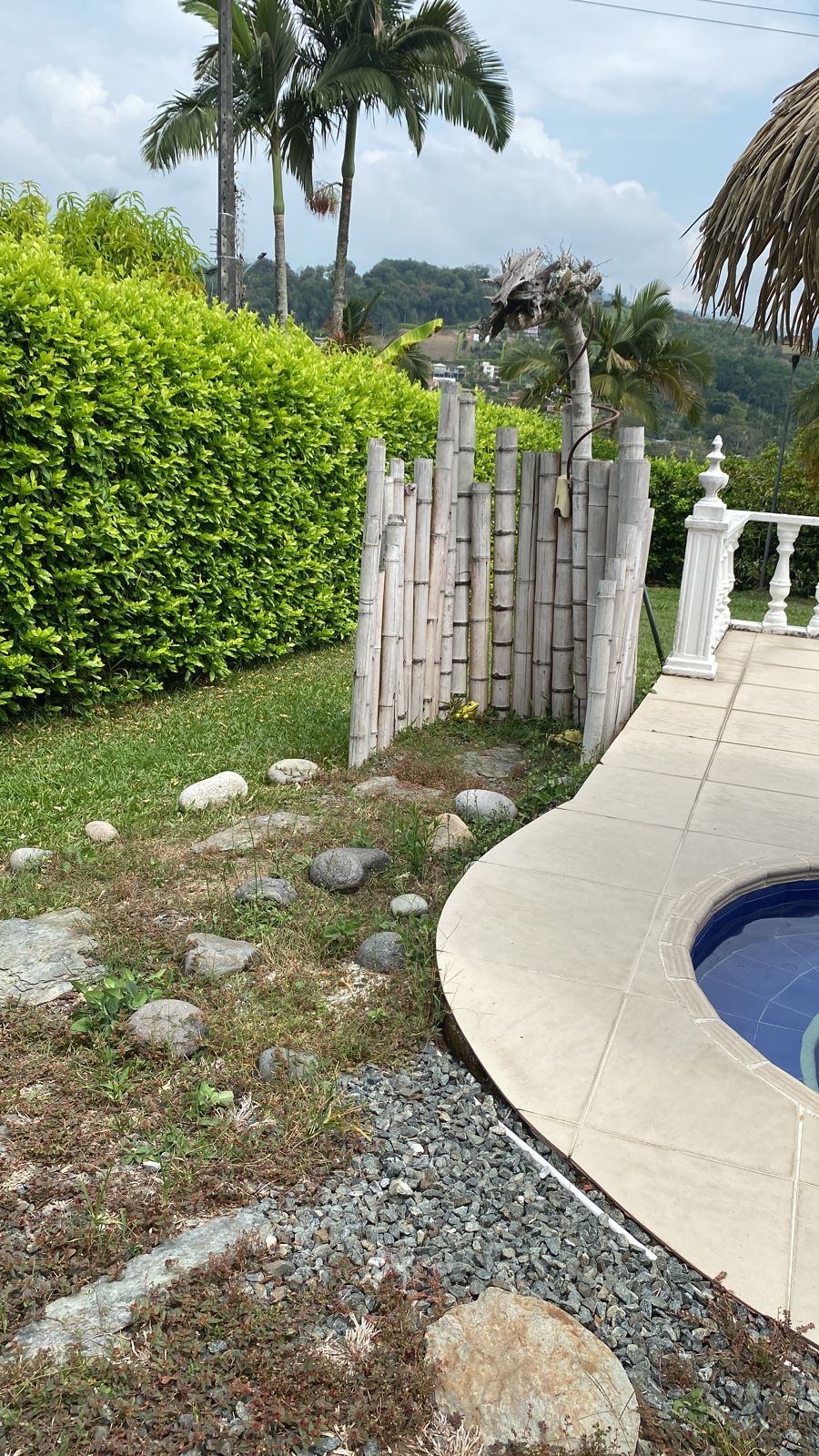 Foto de Casa campestre en Venta en Margaritas, Risaralda - 12 - 279056665