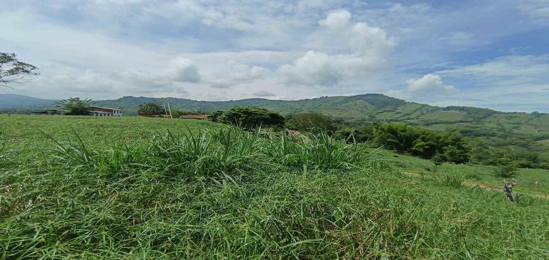 Foto de Lote / terreno en Venta en Vereda santagueda, Palestina - 7 - 279064609
