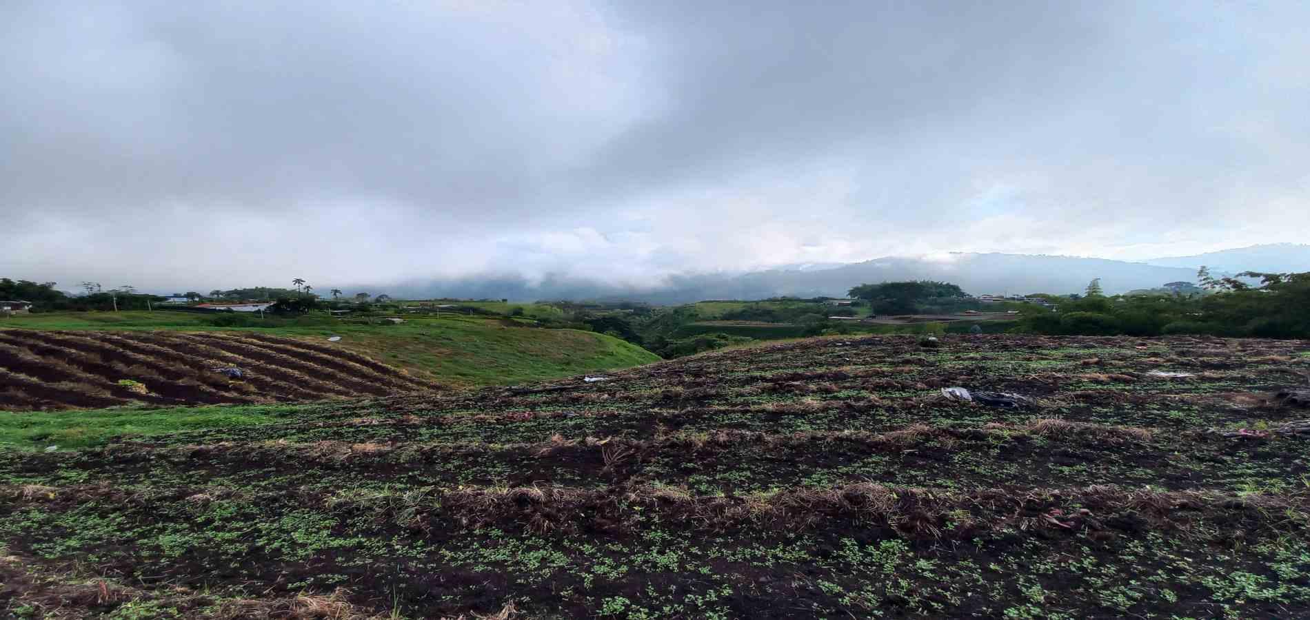 Foto de Lote / terreno en Venta en Vereda el lembo, Santa rosa de cabal - 9 - 279066290