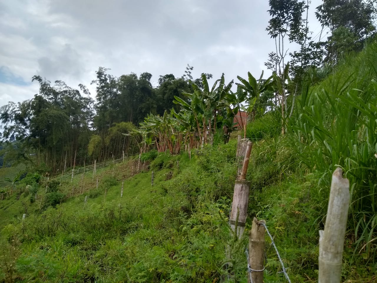 Foto de Finca en Venta en La florida, Pereira - 1 - 279060579