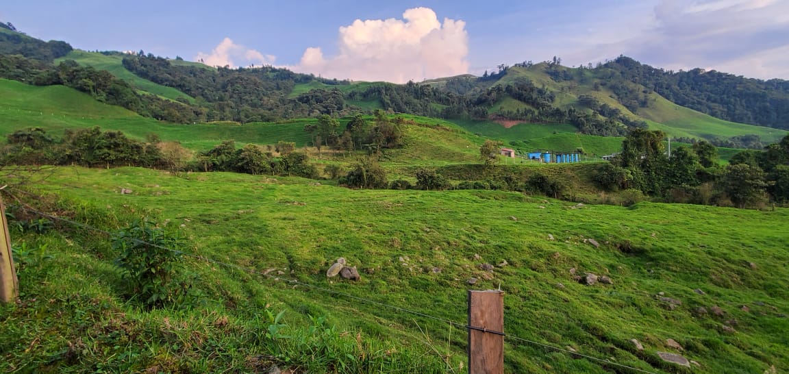 Foto de Lote / terreno para Venta en Malteria, Manizales - 279025739