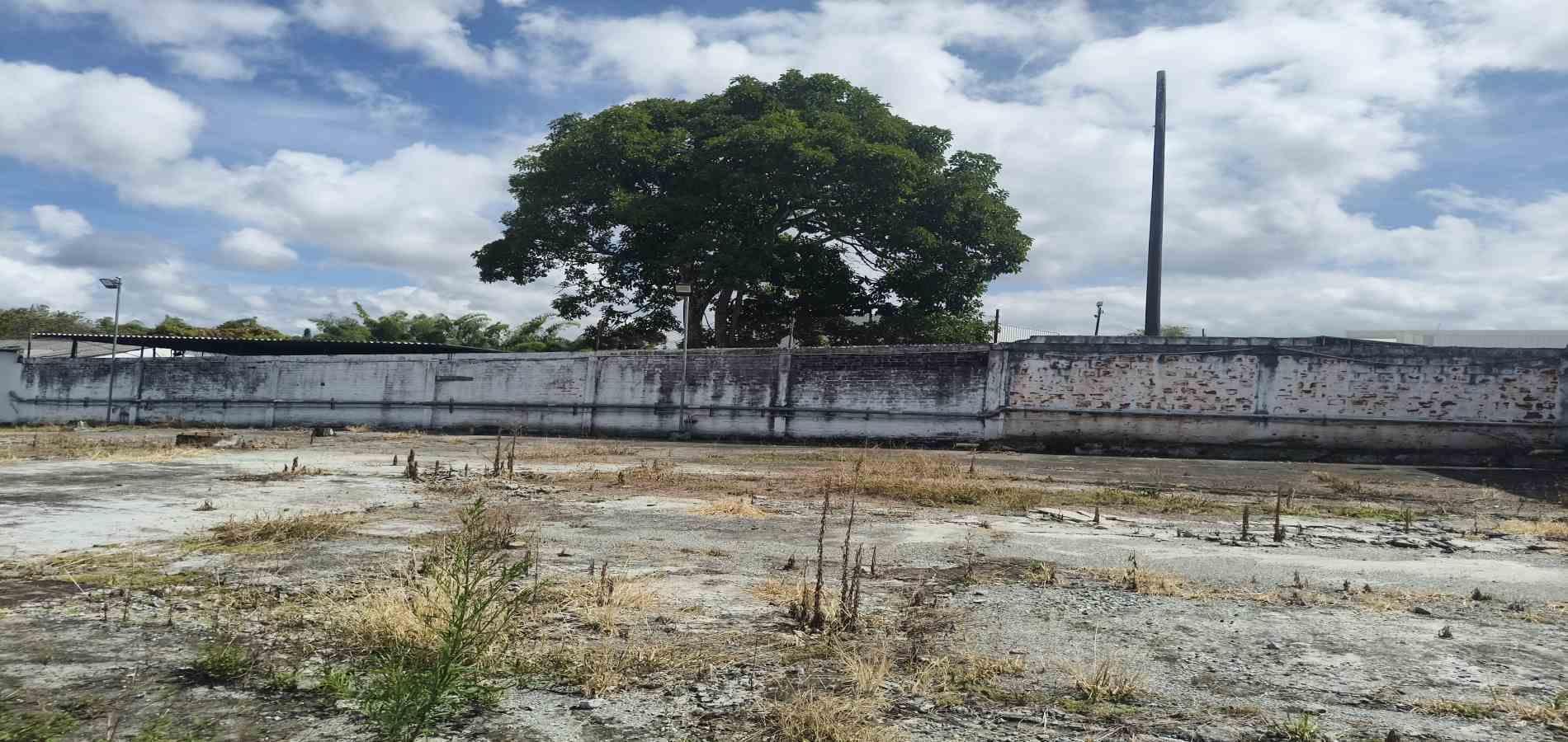 Foto de Bodega en Arriendo en Zona industrial, Armenia  - 12 - 279067982