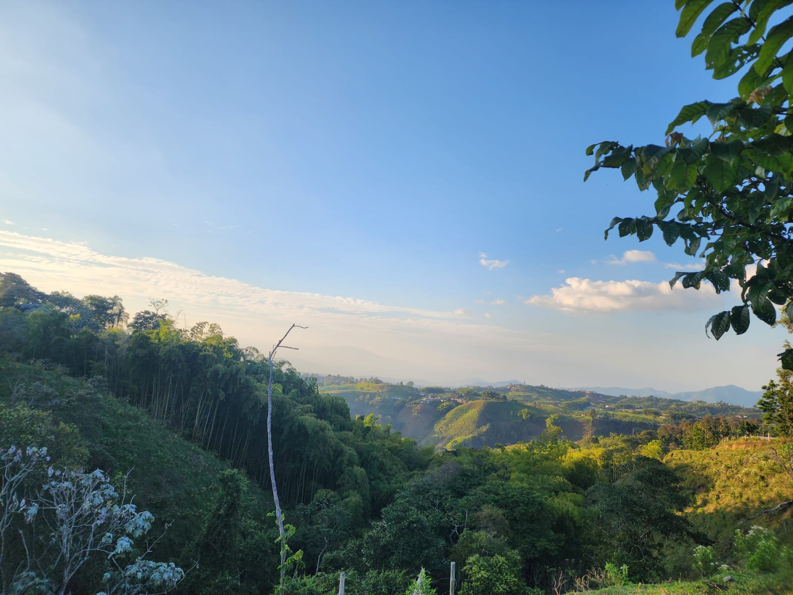 Foto de Finca en Venta en Filandia, Filandia - 13 - 279066535