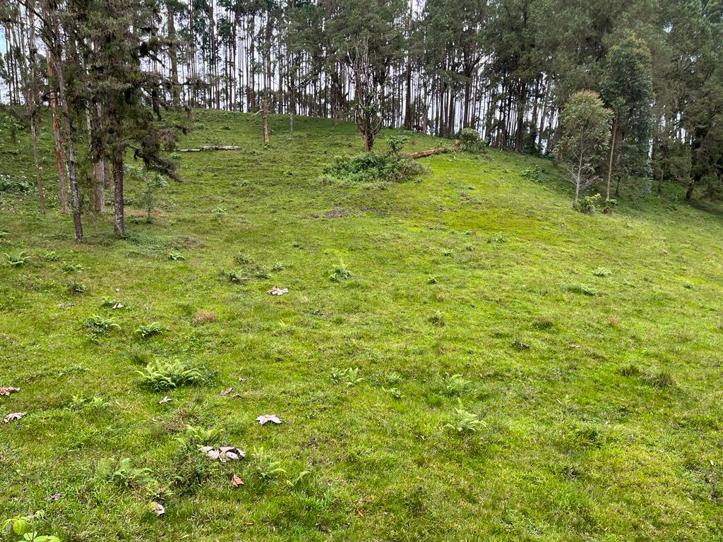 Foto de Lote / terreno en Venta en Via armenia, Pereira - 18 - 279066674