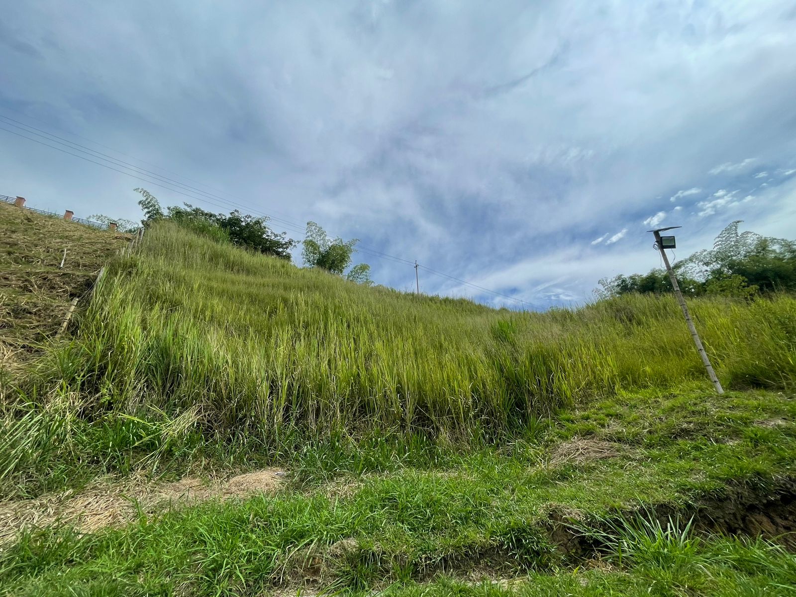 Foto de Lote / terreno en Venta en Cerritos, Pereira - 1 - 279058389