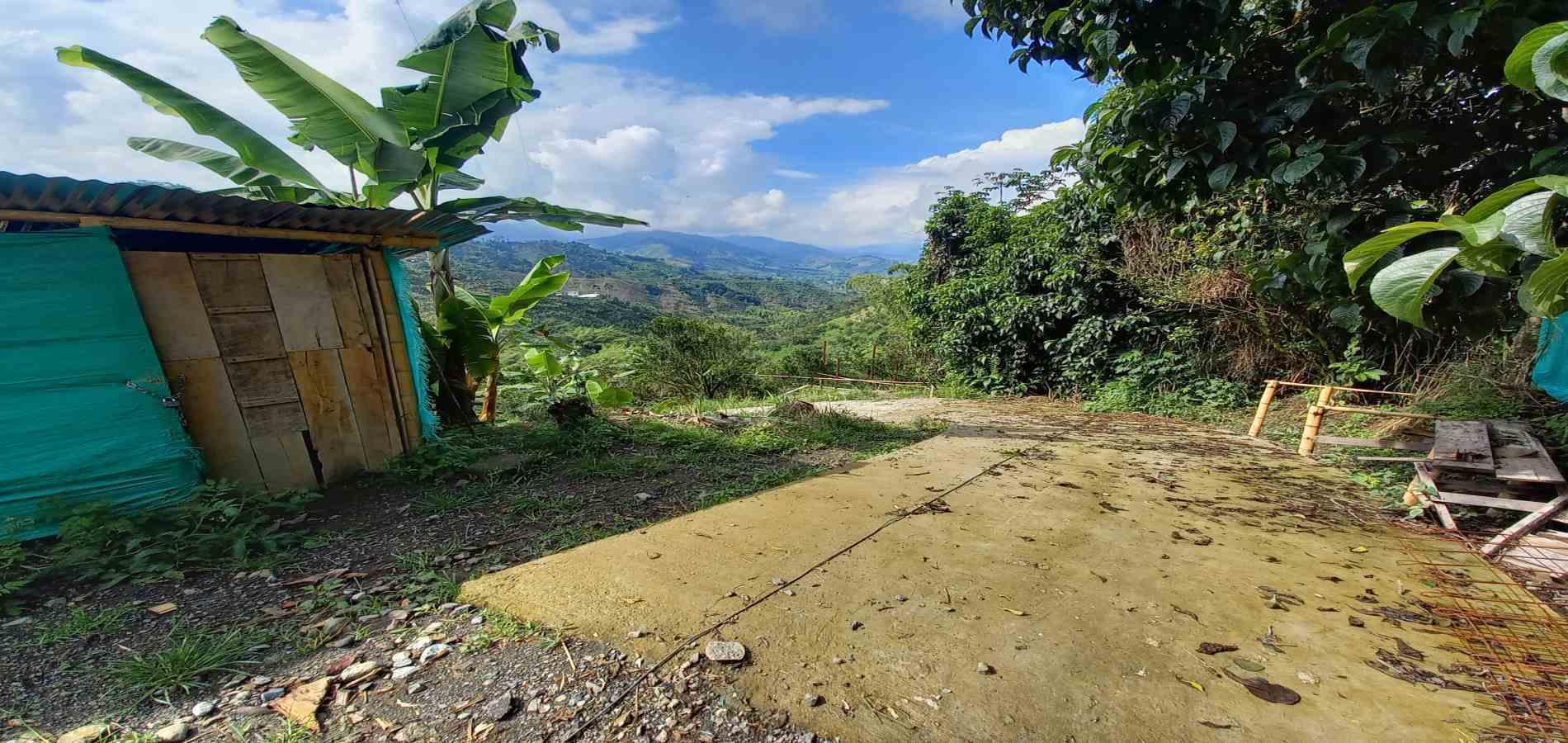Foto de Finca en Venta en San peregrino, Manizales - 3 - 279061656