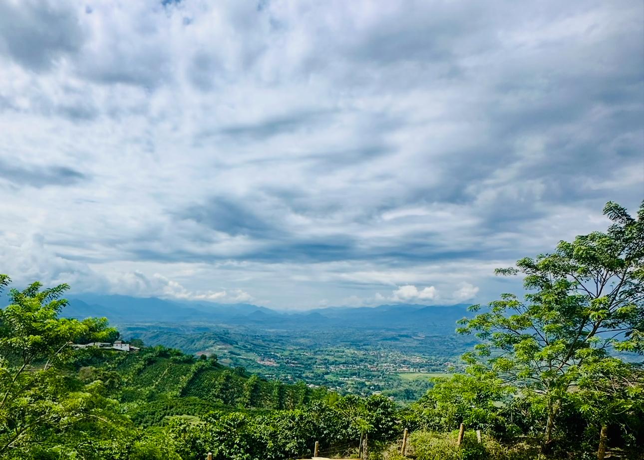 Foto de Lote / terreno para Venta en Sacatin, Manizales - 279064338