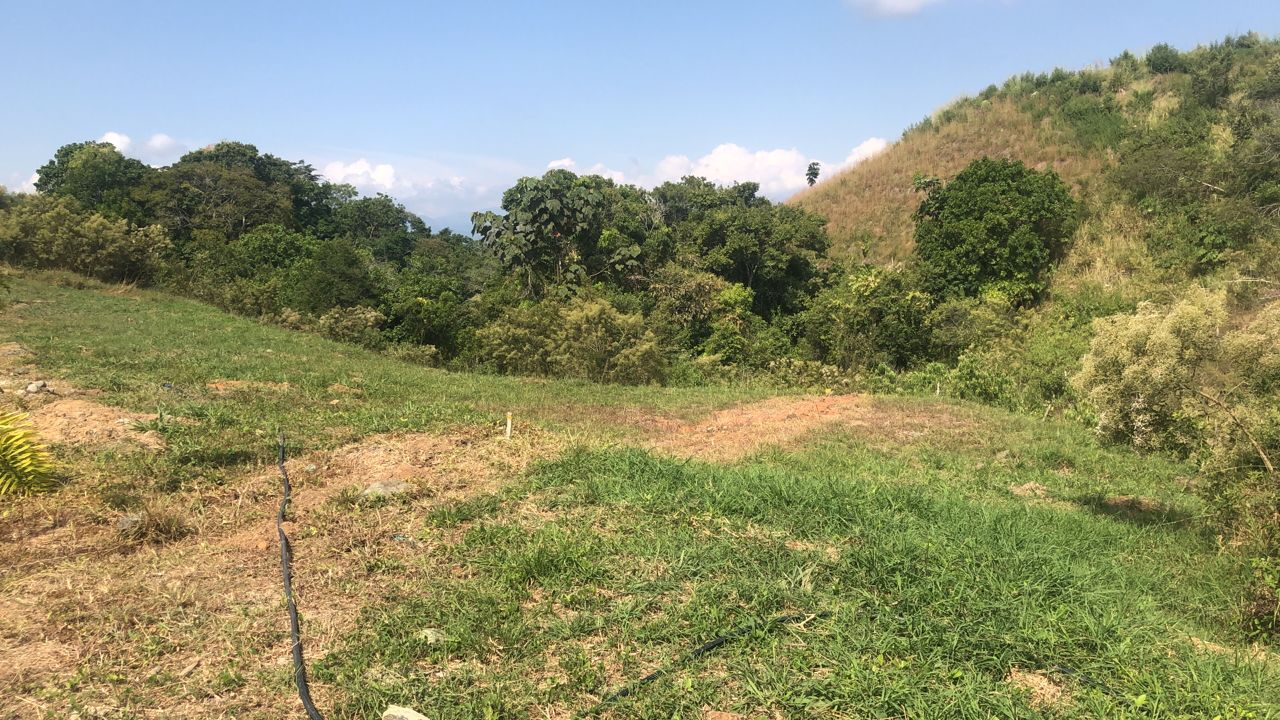 Foto de Lote / terreno en Venta en Centro, Pereira - 10 - 279055598