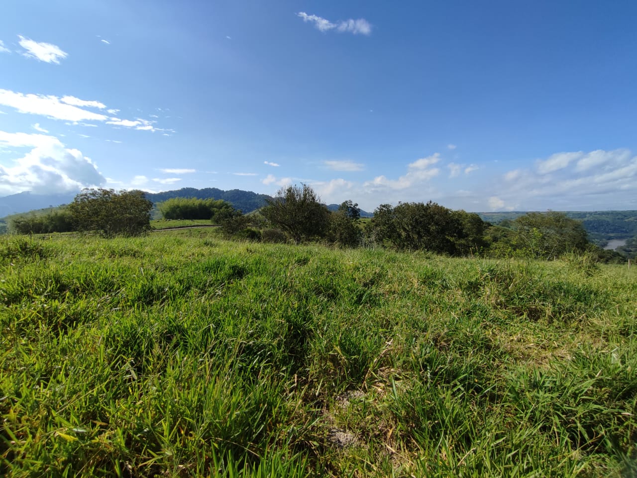 Foto de Lote / terreno en Venta en Cerritos, Pereira - 23 - 279064552