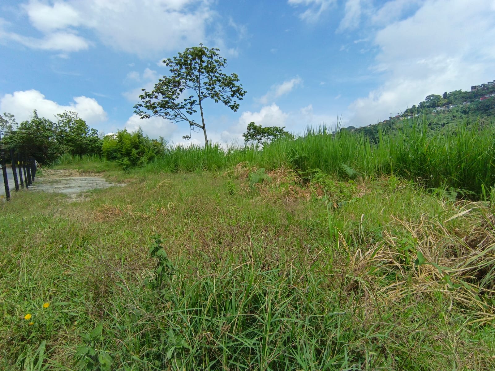 Foto de Lote / terreno en Venta en Panamericana, Manizales - 19 - 279063718