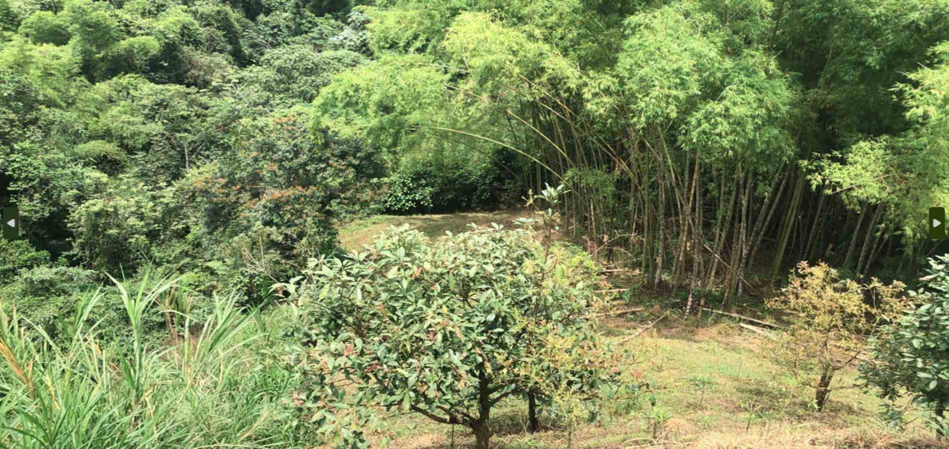 Foto de Lote / terreno en Venta en Dosquebradas, Dosquebradas - 5 - 279053260