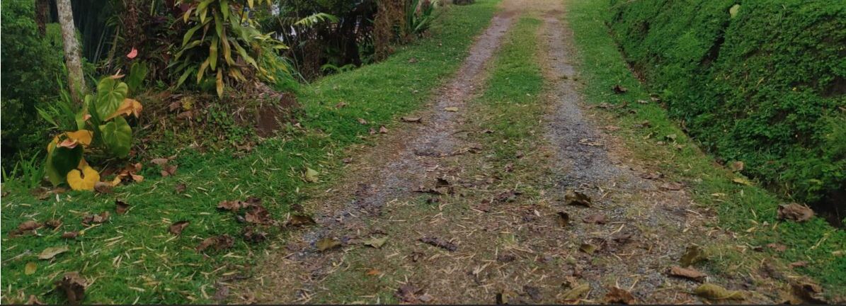 Foto de Finca en Venta en Tribunas consota, Pereira - 23 - 279053616
