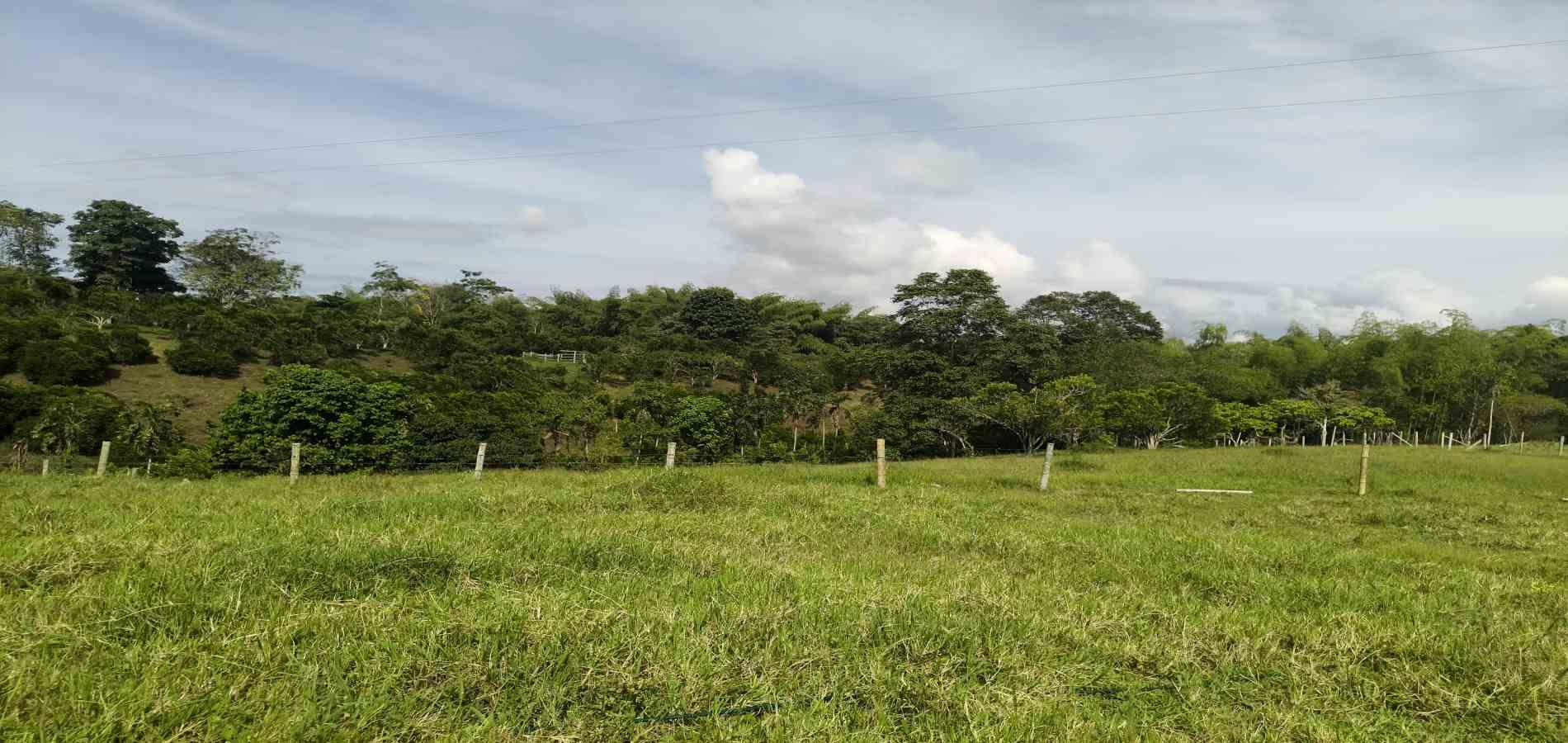 Foto de Lote / terreno para Venta en Via al valle, Armenia  - 279068425