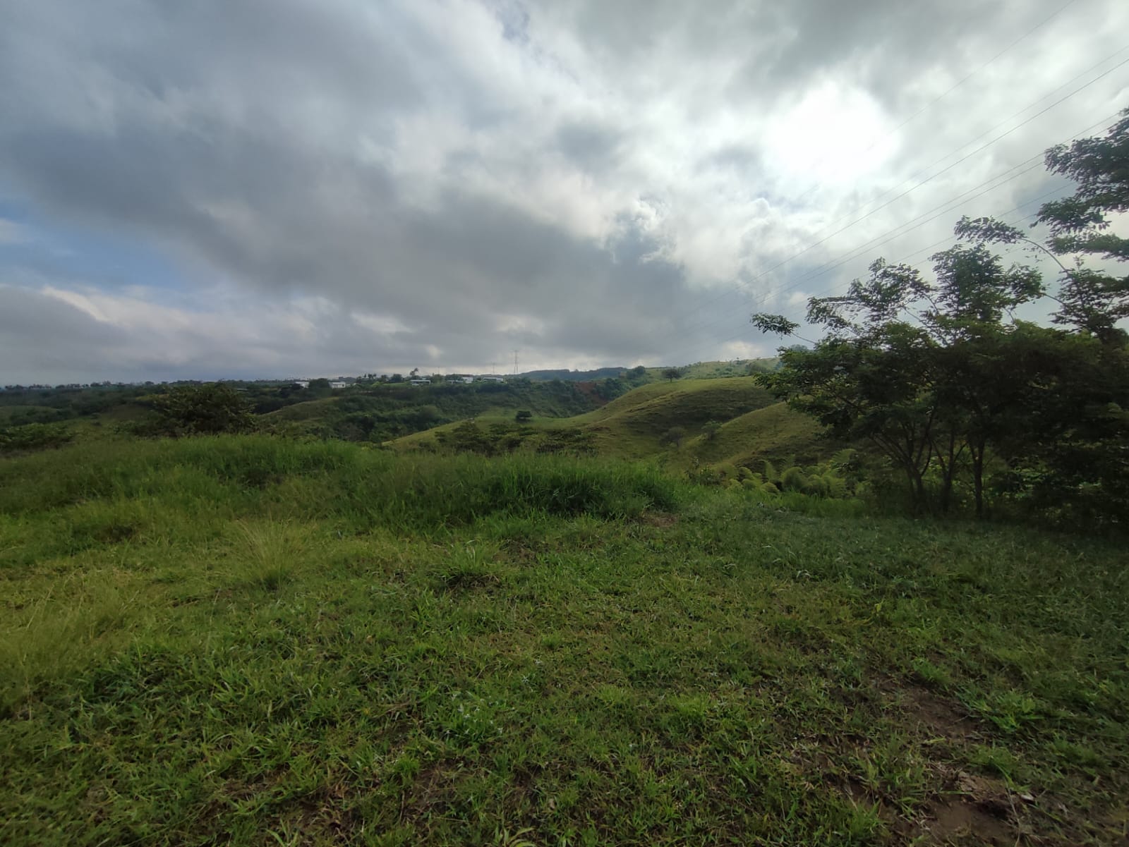 Foto de Lote / terreno en Venta en Cerritos, Pereira - 6 - 279063207
