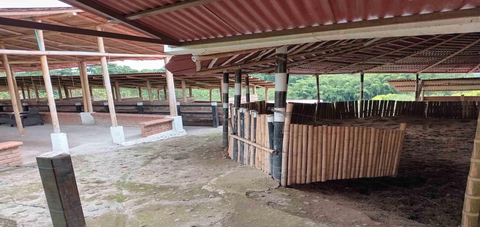 Foto de Finca en Venta en A dos cuadras del parque, Circasia - 6 - 279056832