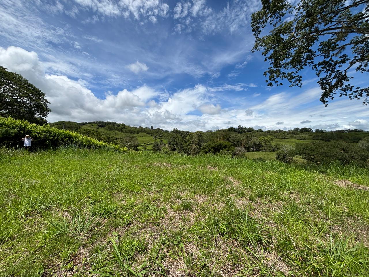 Foto de Lote / terreno en Venta en Kilometro 46, Neira - 5 - 279066726