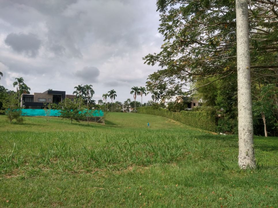 Foto de Lote / terreno en Venta en Cerritos, Pereira - 1 - 279056332