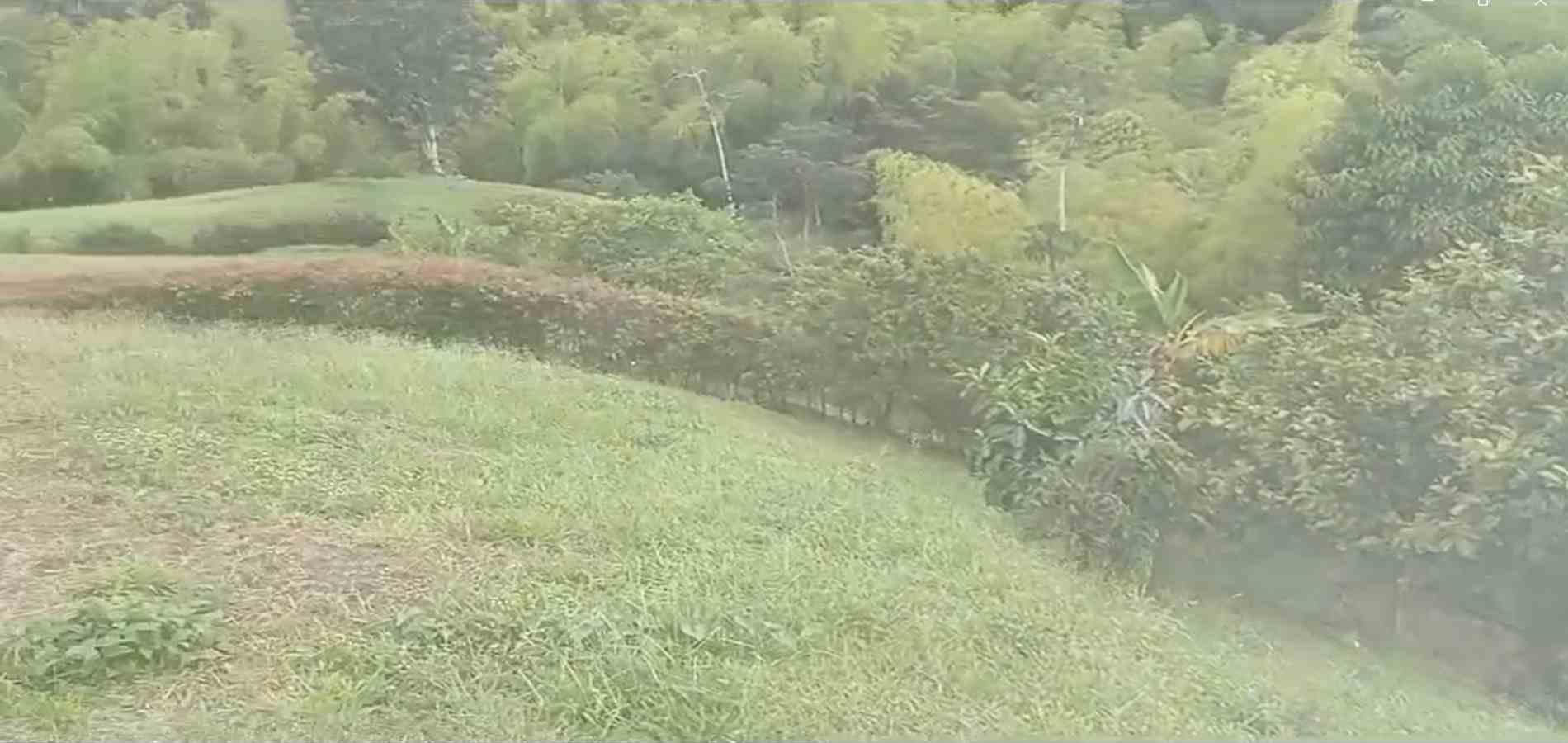 Foto de Lote / terreno en Venta en Circasia, Circasia - 6 - 279065193