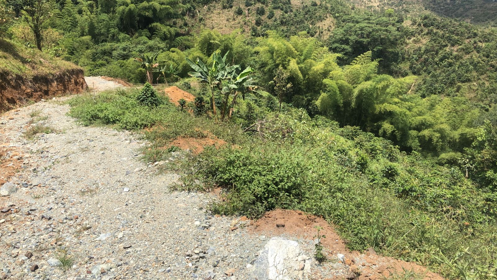 Foto de Lote / terreno en Venta en Dosquebradas, Dosquebradas - 14 - 279053269