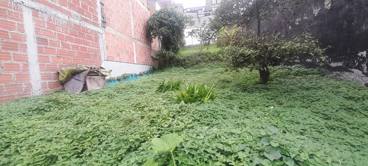 Foto de Lote / terreno en Venta en Urapanes, Villamaria - 1 - 53078