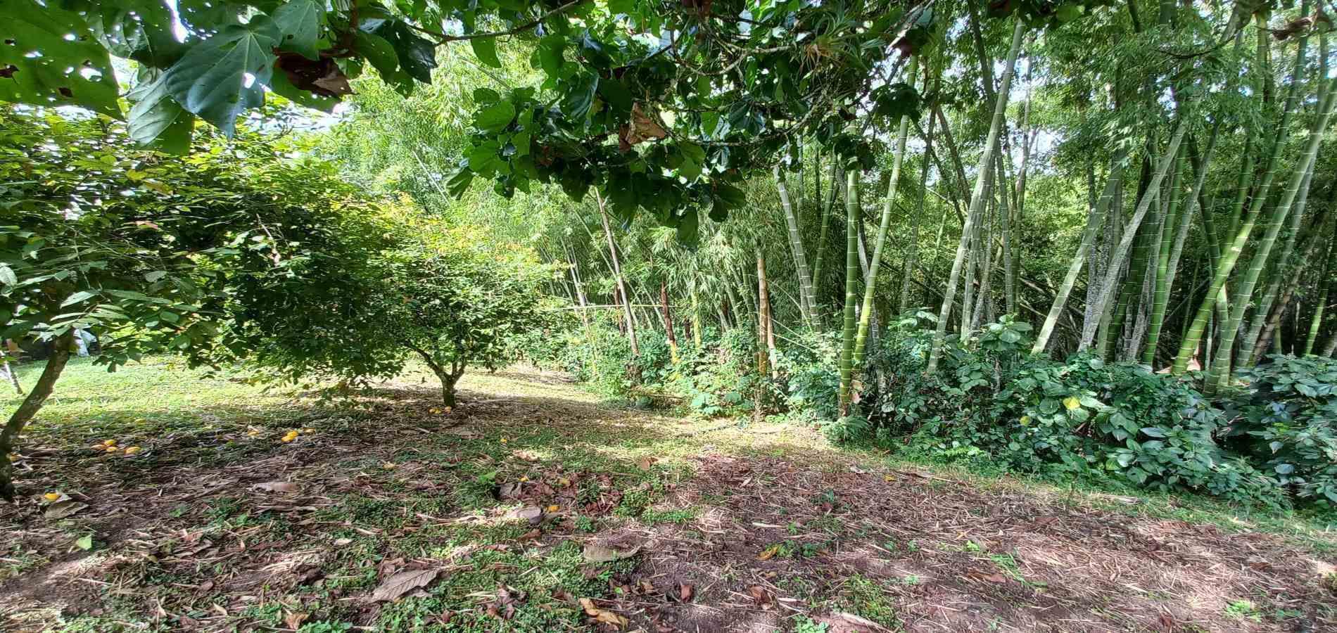Foto de Casa campestre en Venta en Via armenia, Pereira - 13 - 279069593