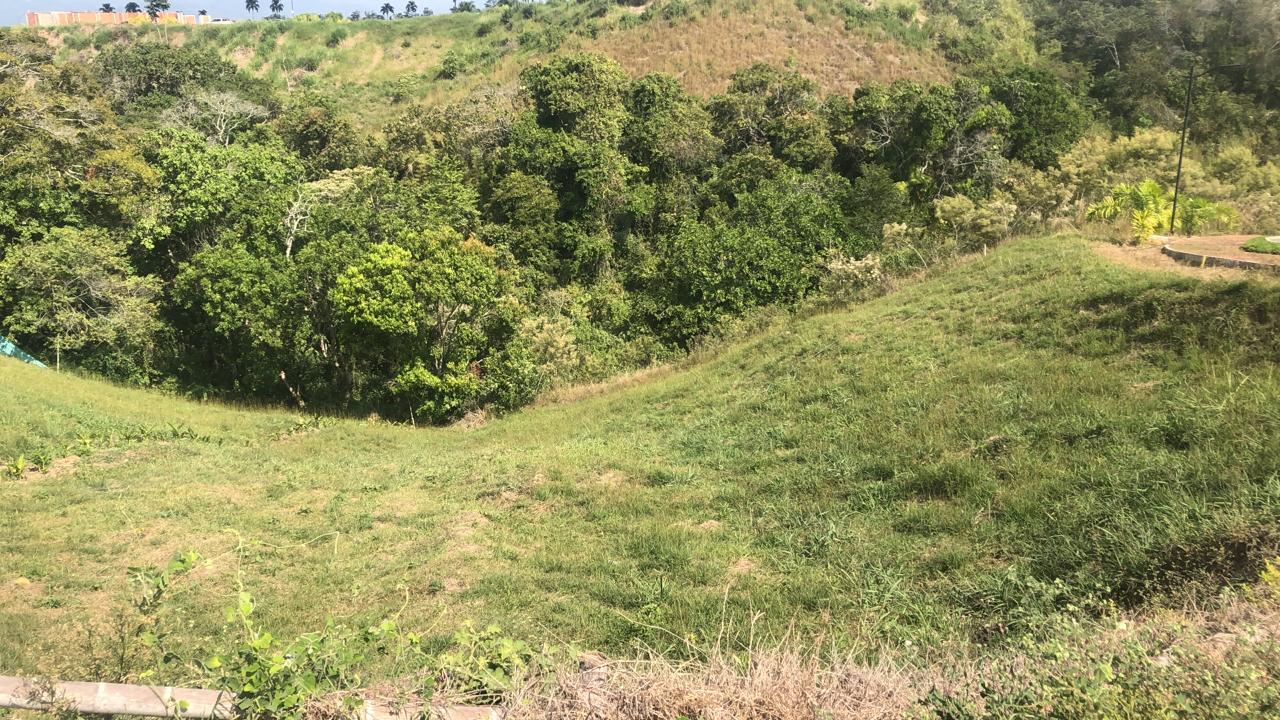 Foto de Lote / terreno en Venta en Cerritos, Pereira - 1 - 279055628