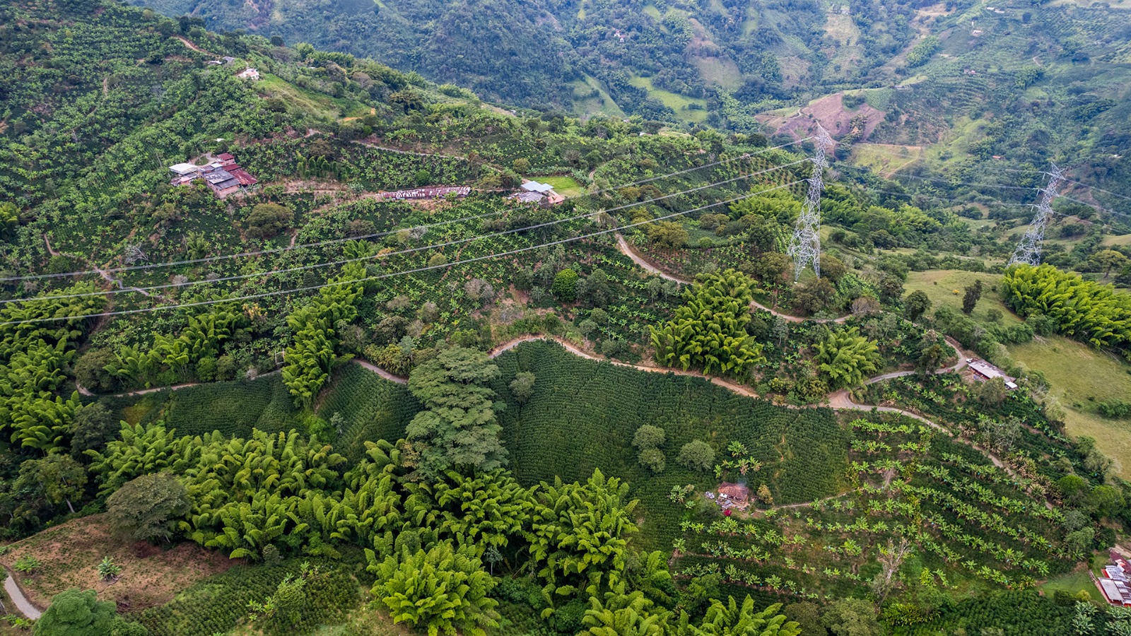 Foto de Finca en Venta en Vereda el corozo, Neira - 14 - 279053406
