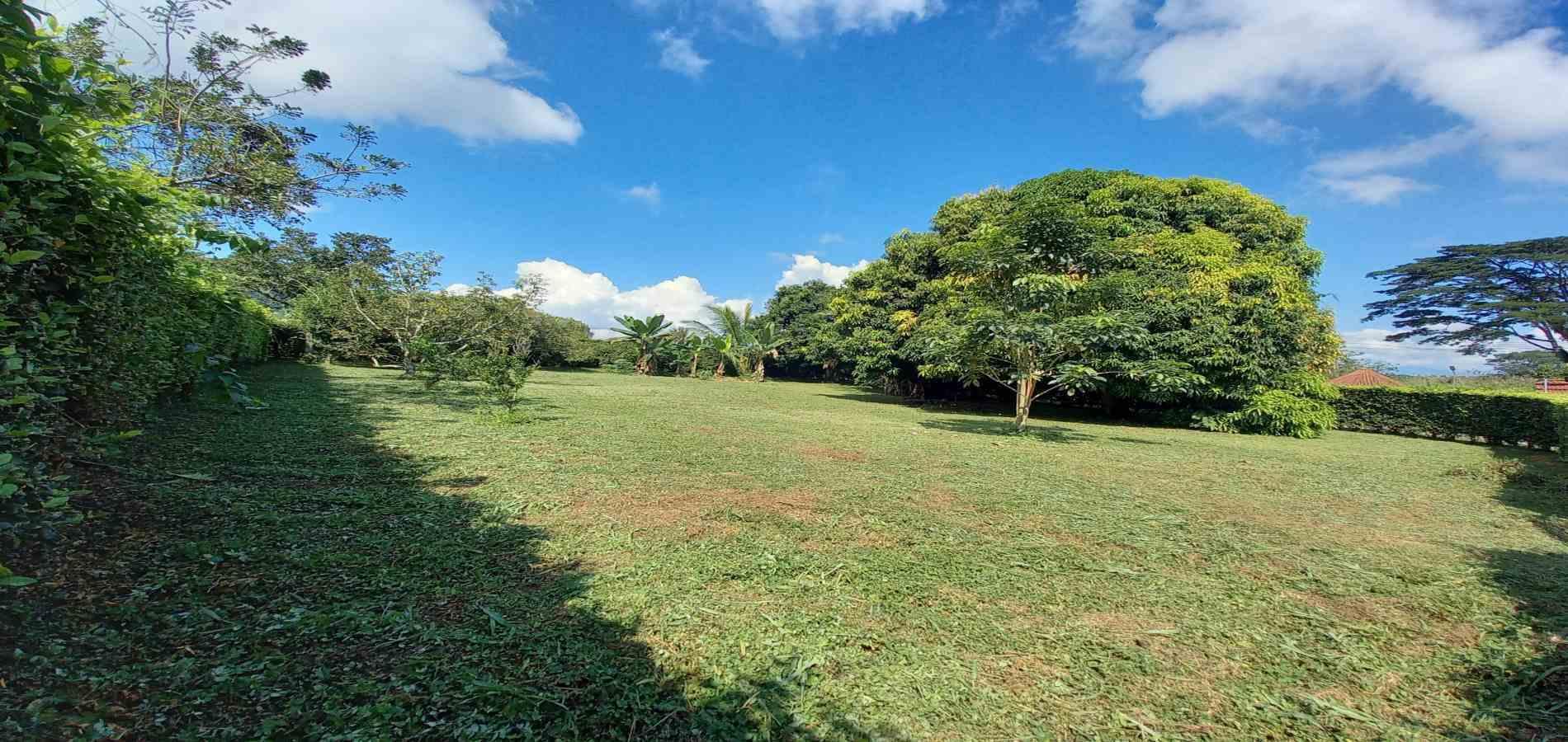 Foto de Lote / terreno en Venta en Vereda santagueda, Palestina - 27 - 279060420