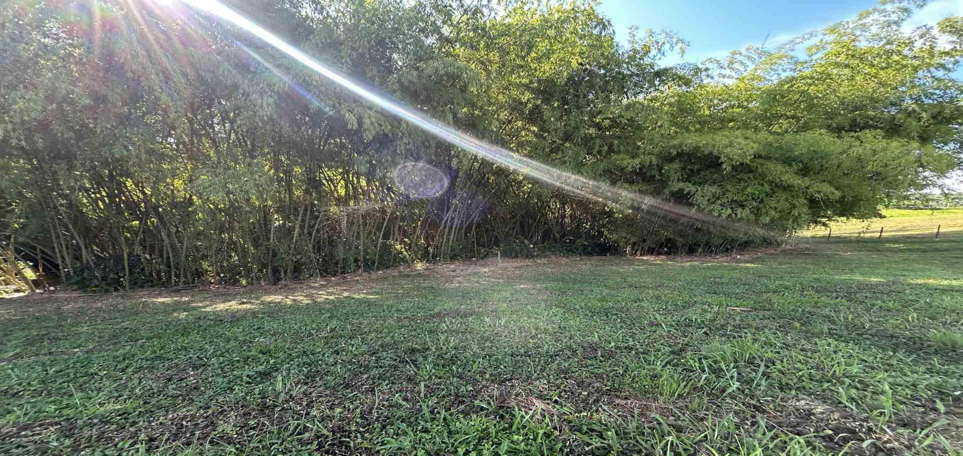 Foto de Lote / terreno en Venta en Cerritos, Pereira - 8 - 279069202