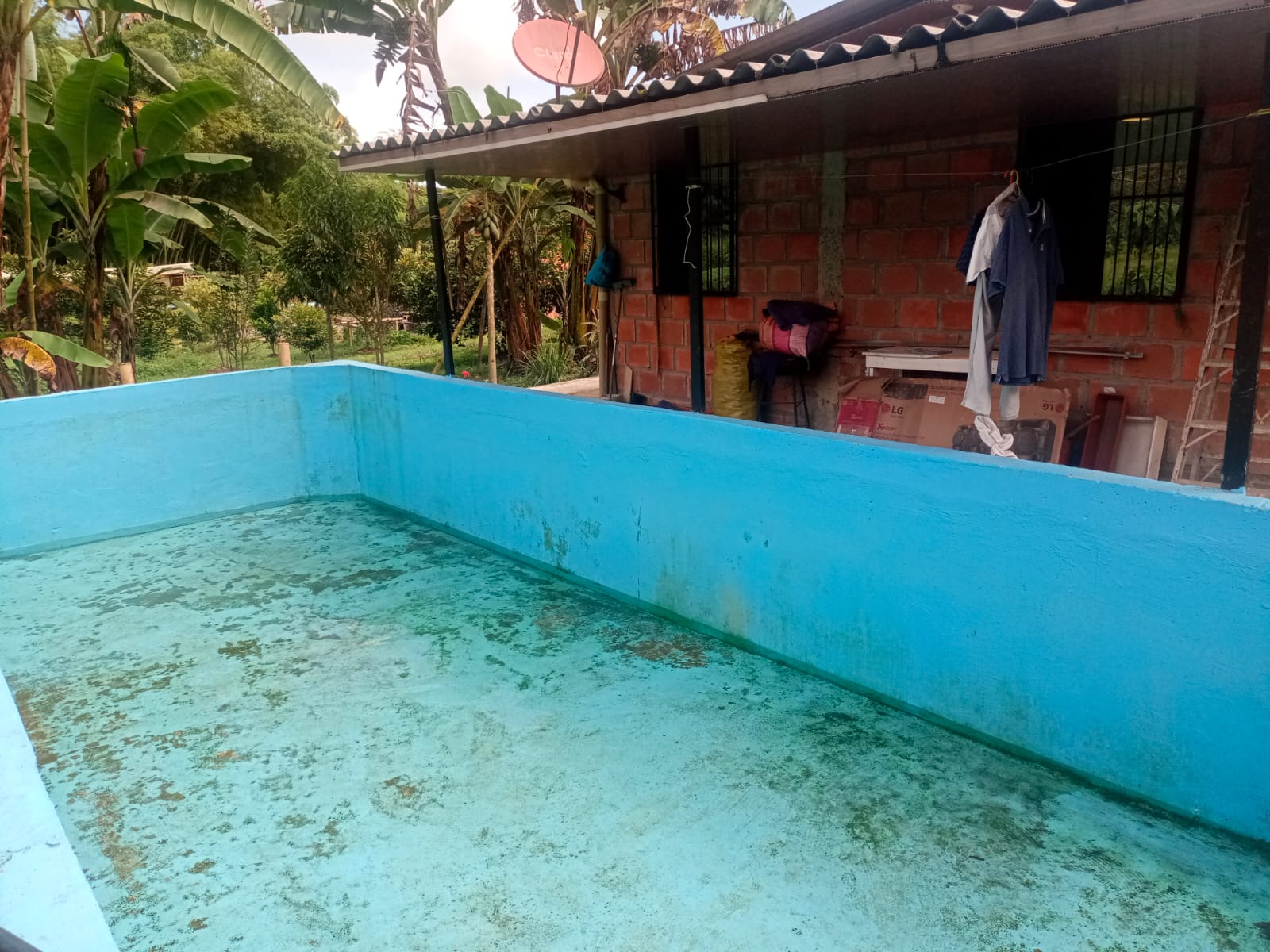 Foto de Finca en Venta en Centro, Santa rosa de cabal - 9 - 279052730